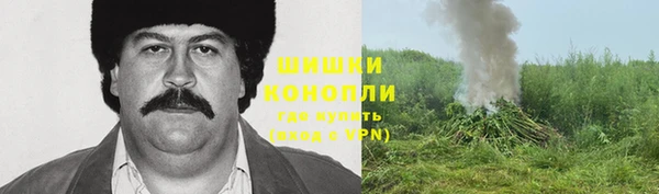 стафф Волоколамск