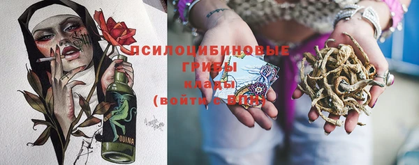 PSILOCYBIN Володарск
