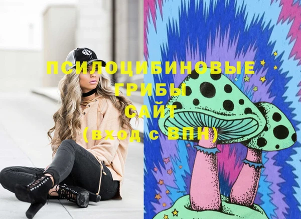 стафф Волоколамск